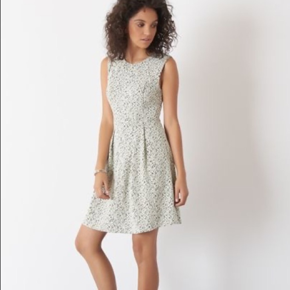 Dynamite dress
